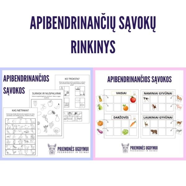 Apibendrinančių sąvokų rinkinys