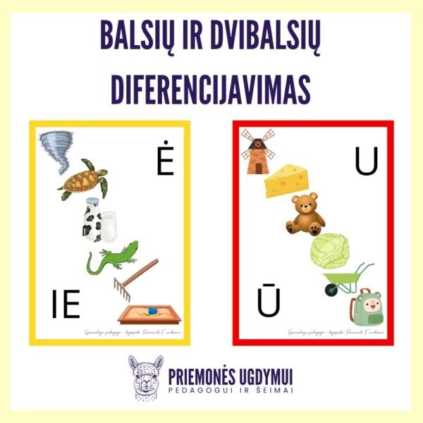 Diferencijavimo rinkinys - Image 2