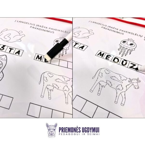 Įmautė užduočių sprendimui (1 vnt) + markeris - Image 5