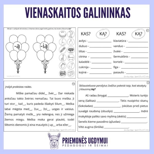 Vienaskaitos galininkas