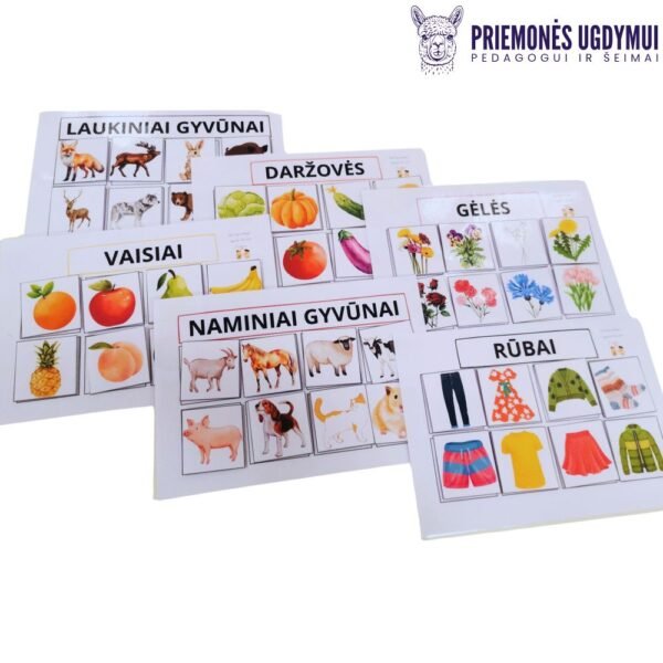 Laminuota priemonė APIBENDRINANČIOS SĄVOKOS