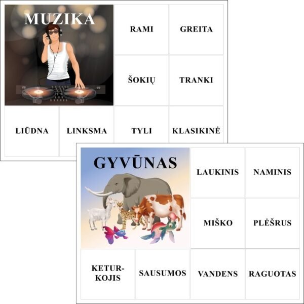 Žaidimas ŽODĮ SKAITYK – BŪDVARDĮ PARINK